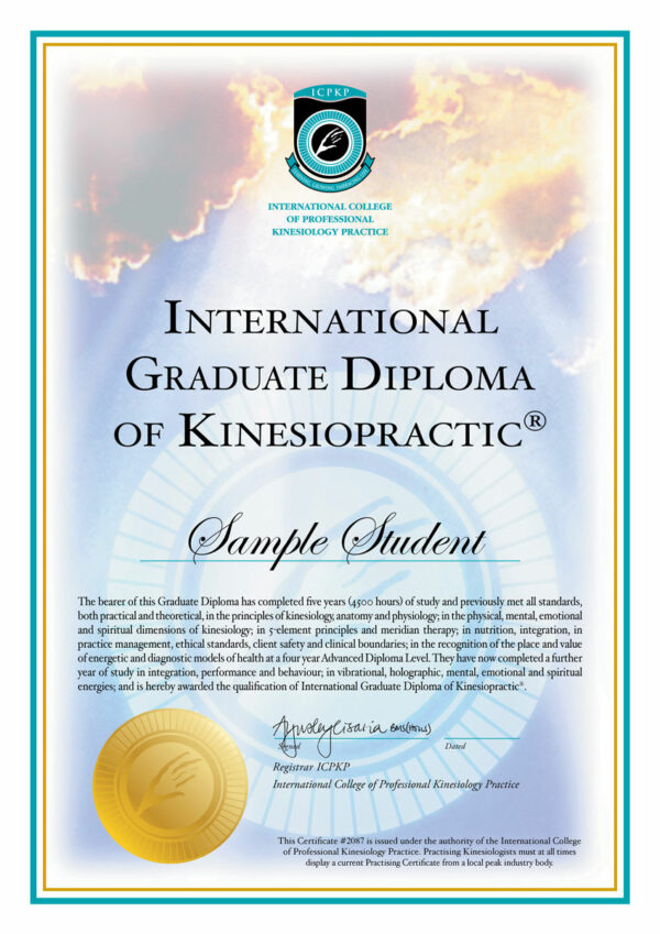 Grad Dip Kinesiopractic cert sample