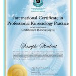 International Certification in Professional Kinesiology Practice