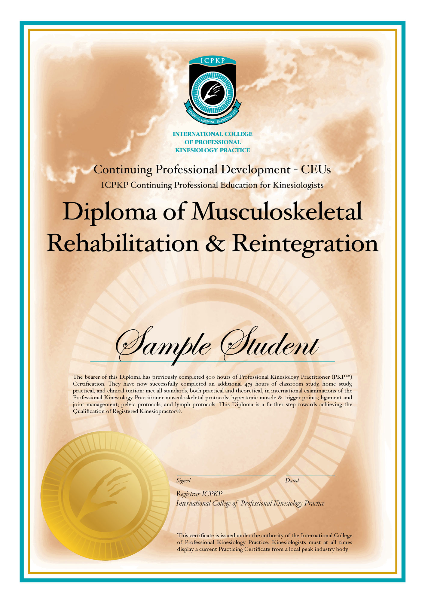 Diploma of Musculoskeletal Rehabilitation & Reintegration certificate