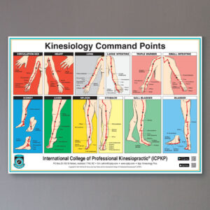 Command Points Chart mockup