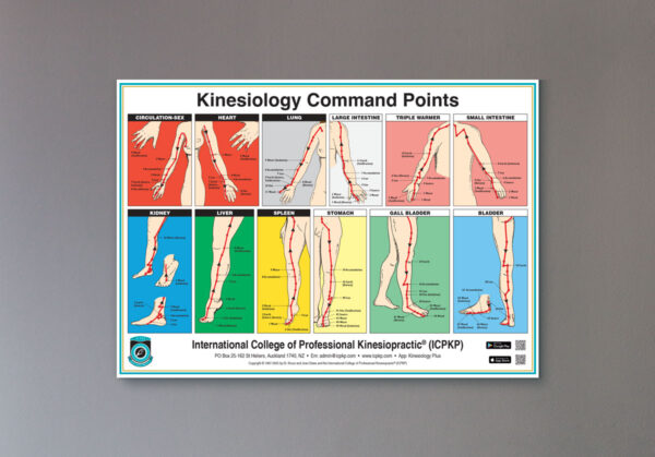 Command Points Chart mockup