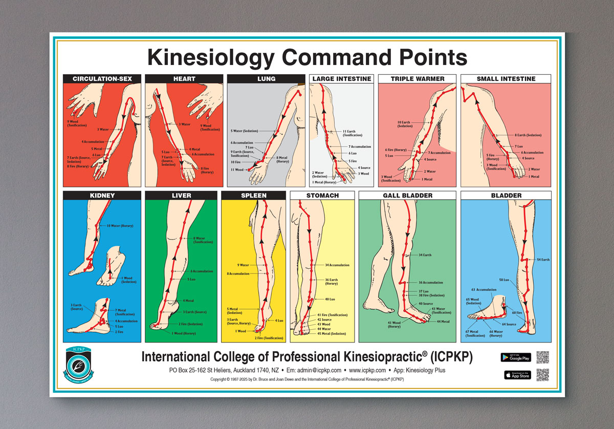 Command Points Wall Chart - Unlaminated